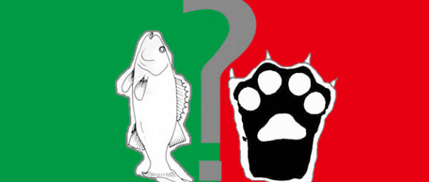 1444925519175139.jpg QQ截圖20151016001136.jpg