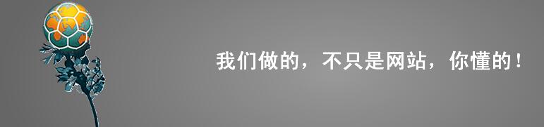 我們做的不只是網(wǎng)站，你懂得